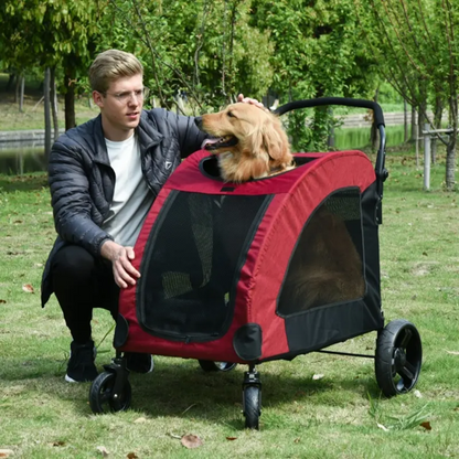 Man with a dog in a red pet stroller on grass