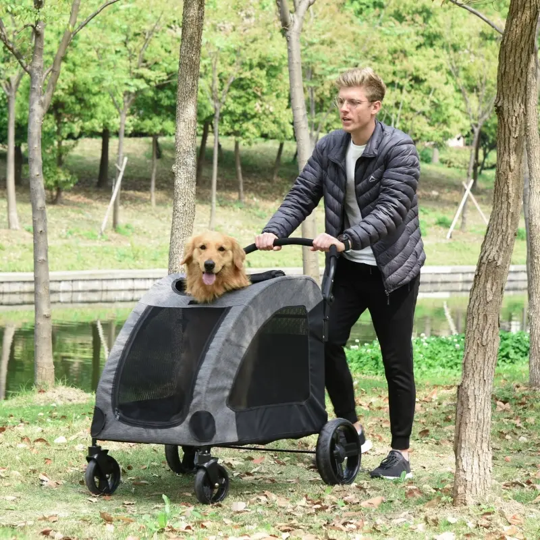 Person pushing a pet stroller with a dog in it through a park.