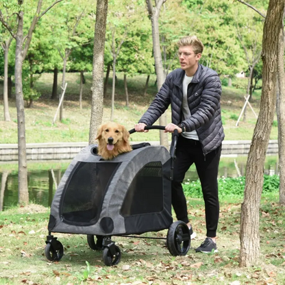 Person pushing a pet stroller with a dog in it through a park.