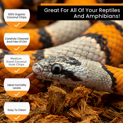 RediChip Premium reptile bedding for all reptiles and amphibians