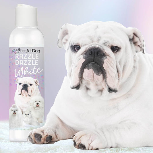 White bulldog next to a bottle of 'Blissful Dog Razzle Dazzle White' product on a light background