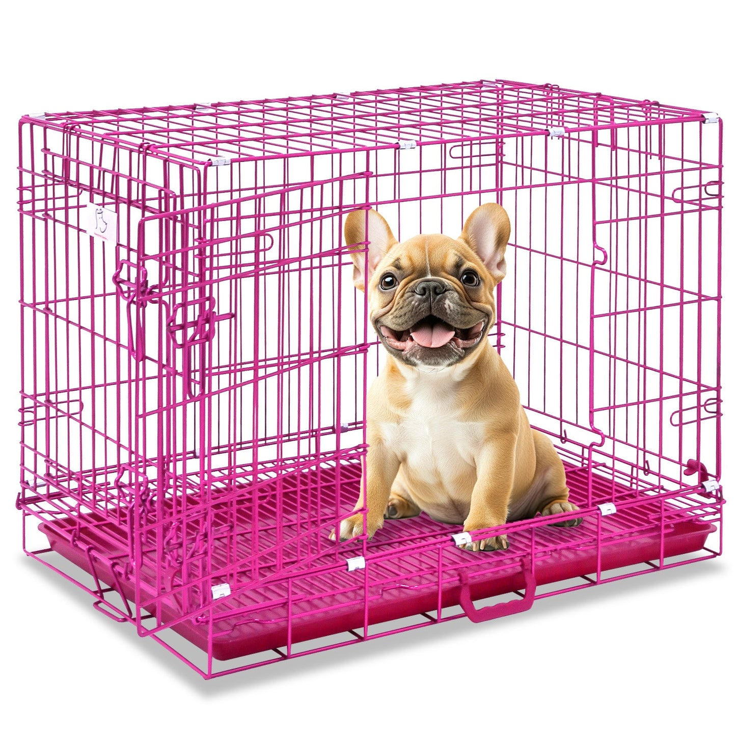 Dog inside a pink wire crate on a white background