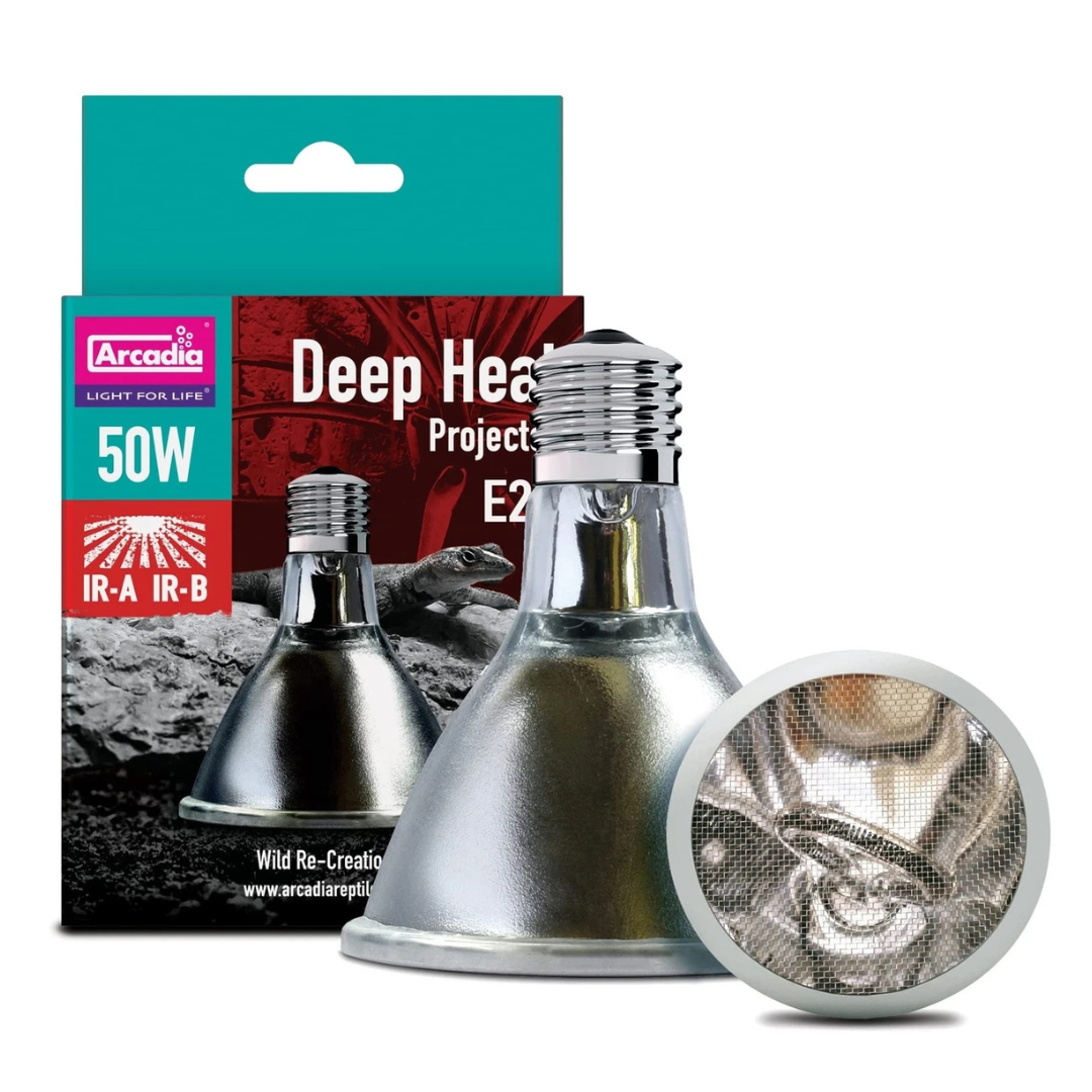 Arcadia deep heat project light bulb with packaging on a white background