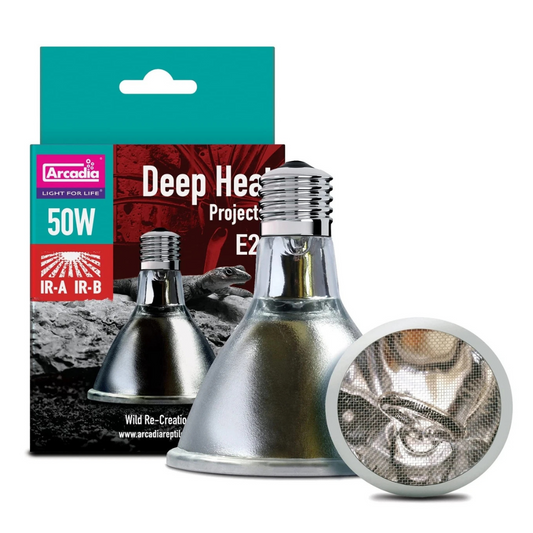 Arcadia deep heat project light bulb with packaging on a white background