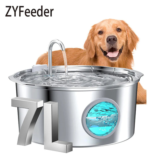 Dog next to a ZYFeeder pet water fountain with water flowing.