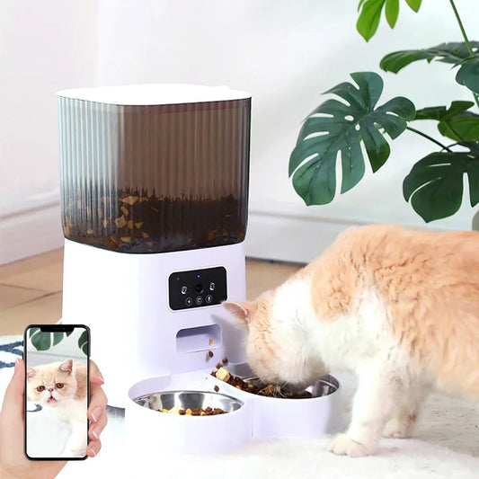 Pet feeder with a cat eating and a person using a phone, with a plant in the background.