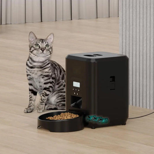 Cat sitting next to an automatic pet feeder on a wooden floor.