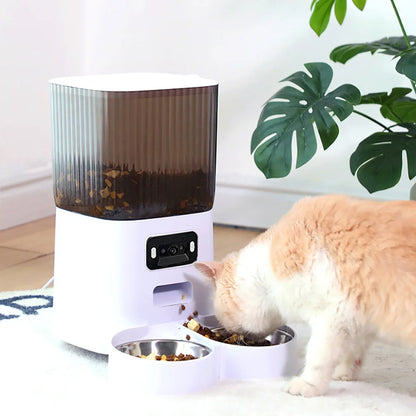 Pet feeder with a cat eating from it in a home setting