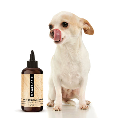 Dog licking a bottle of Pride Groom product on a white background