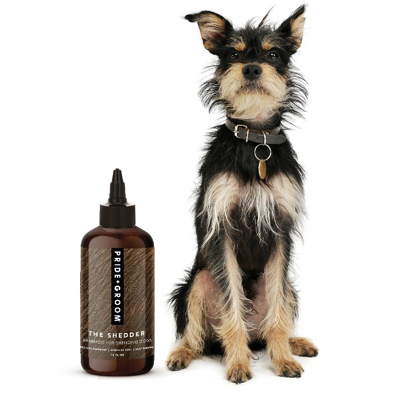 Dog sitting next to a bottle of PrideGroom shampoo on a white background