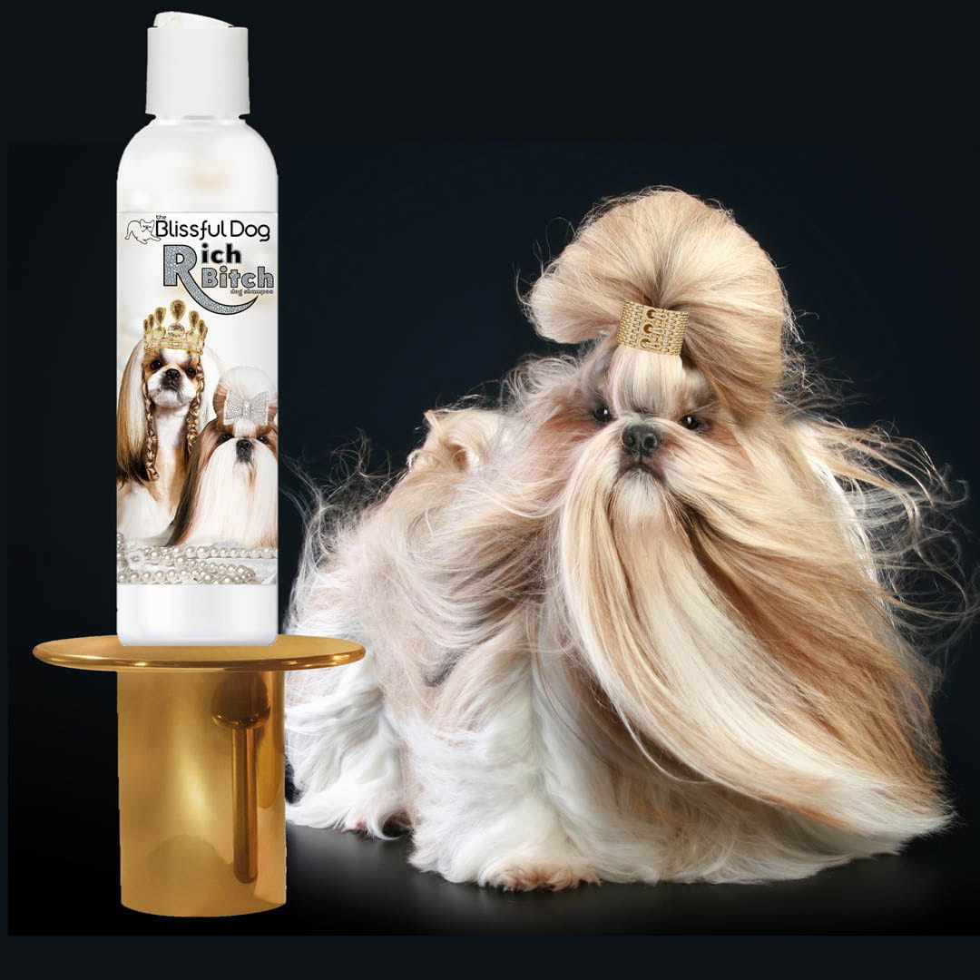 Dog grooming product with a dog with styled hair on a black background
