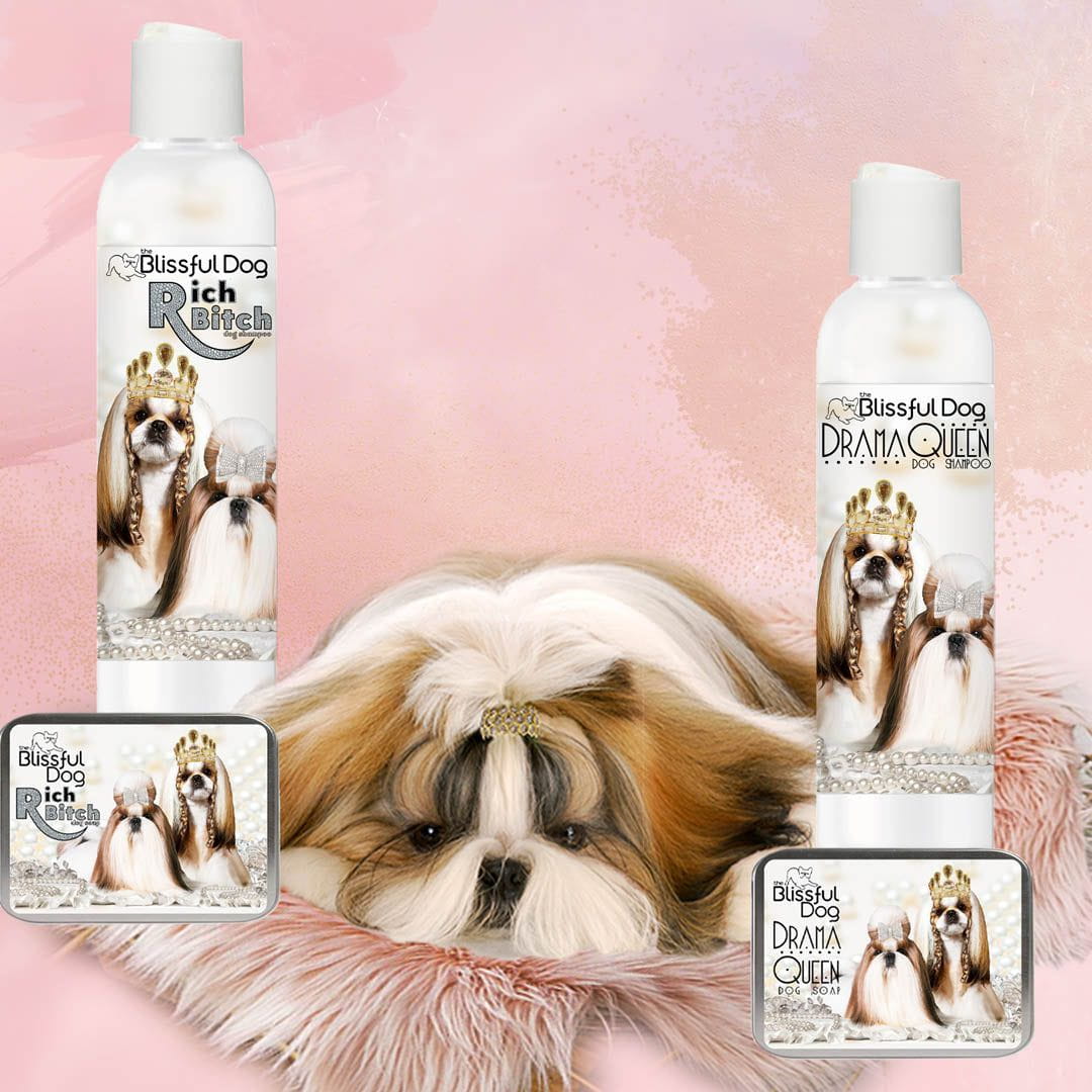 Two bottles of 'Blissful Dog' shampoo with a dog in the background on a pink background