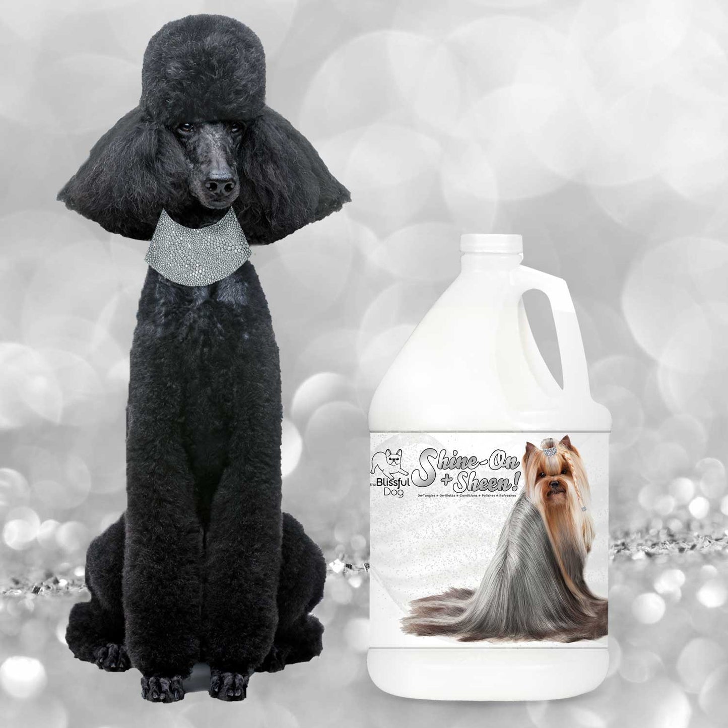 Black poodle wearing a fur hat next to a bottle of 'Shine On' dog shampoo on a glittery background