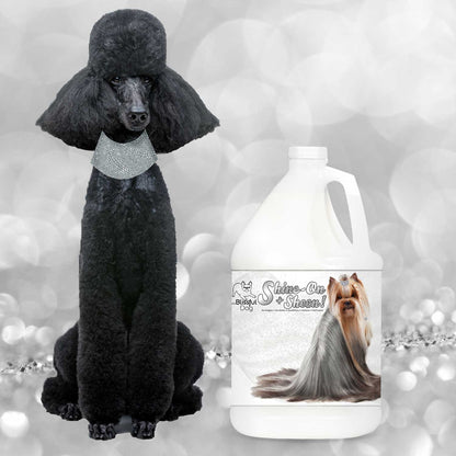 Black poodle wearing a fur hat next to a bottle of 'Shine On' dog shampoo on a glittery background