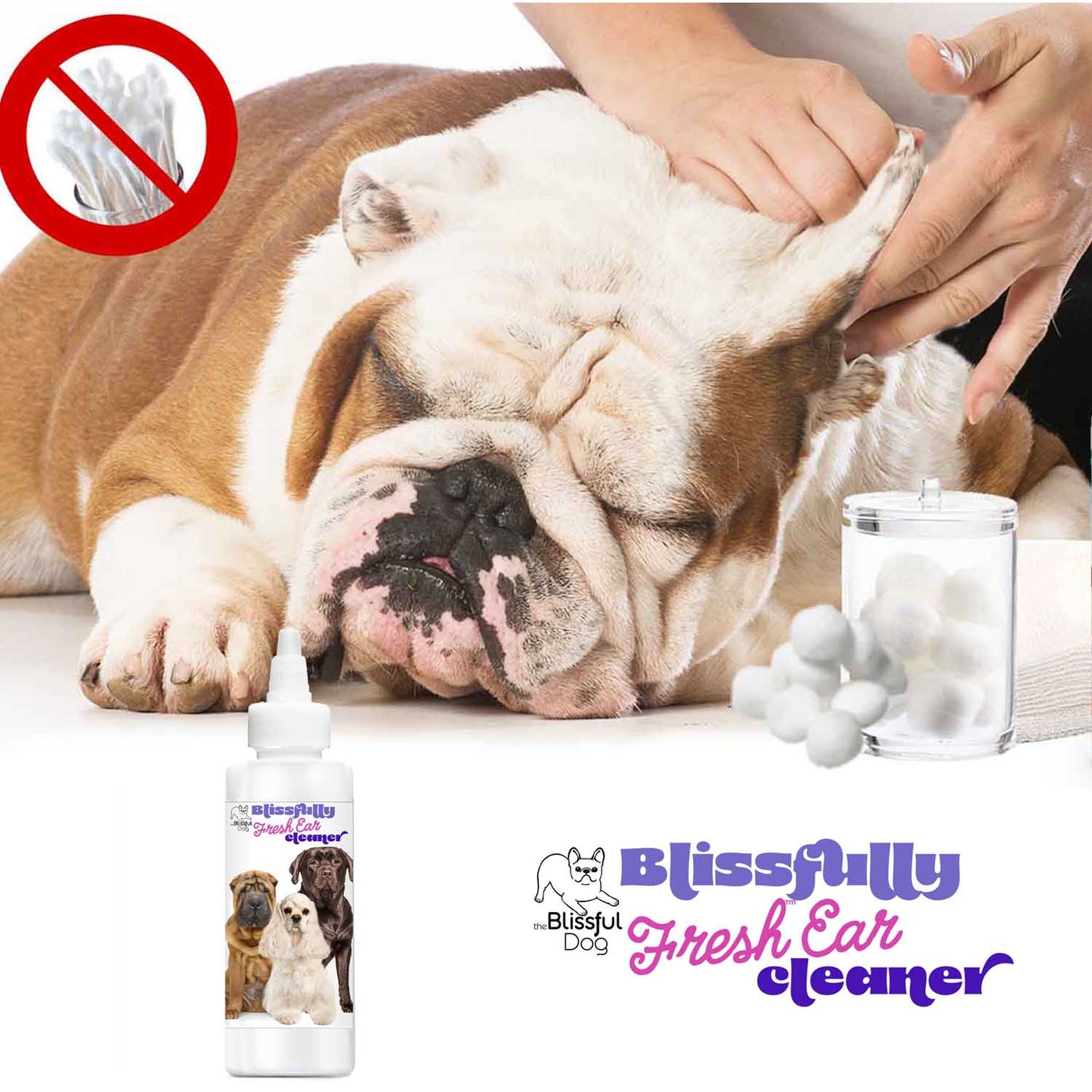 Dog being groomed with a bottle of Blissfully Fresh Ear Cleaner and a no-ear-cleaning symbol.