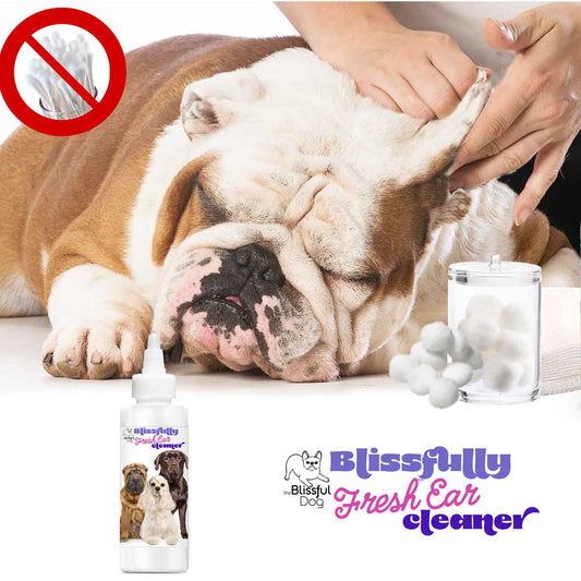 Dog being groomed with a bottle of Blissfully Fresh Ear Cleaner and a no-ear-cleaning symbol.