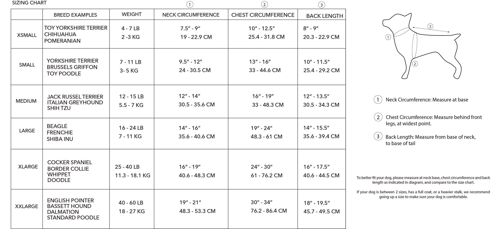 Dog sizing chart with measurements for various breeds