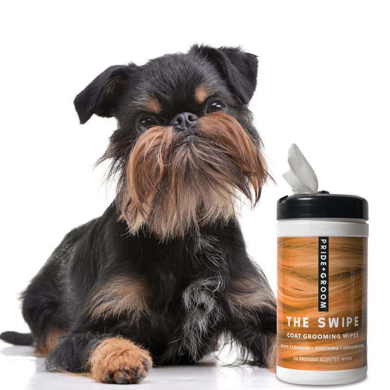 Dog with a container of PrideGroom The Swipe coat grooming wipes on a white background