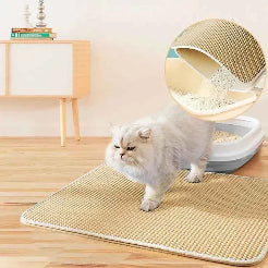 Cat walking on a mat with a litter box and scratching post in the background