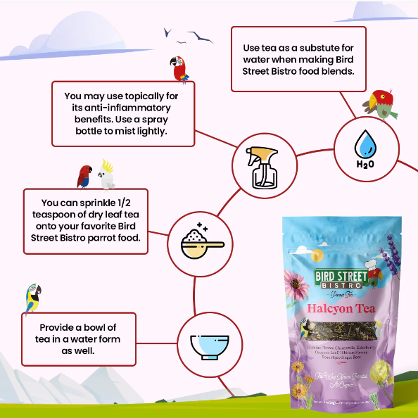 Instructions for using Haleyon Tea from Bird Street Bistro with illustrations and text.