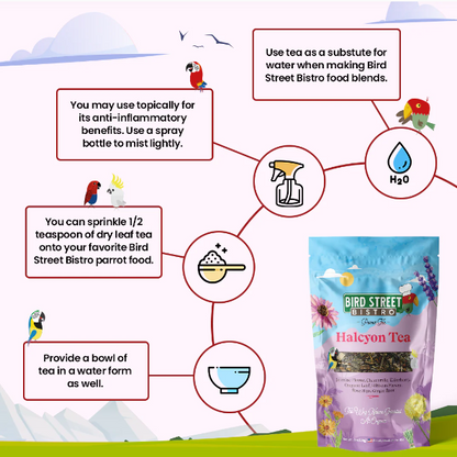 Instructions for using Haleyon Tea from Bird Street Bistro with illustrations and text.