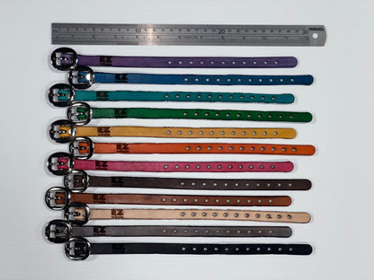 Colorful dog collars arranged in a row with a ruler for size reference on a white background.
