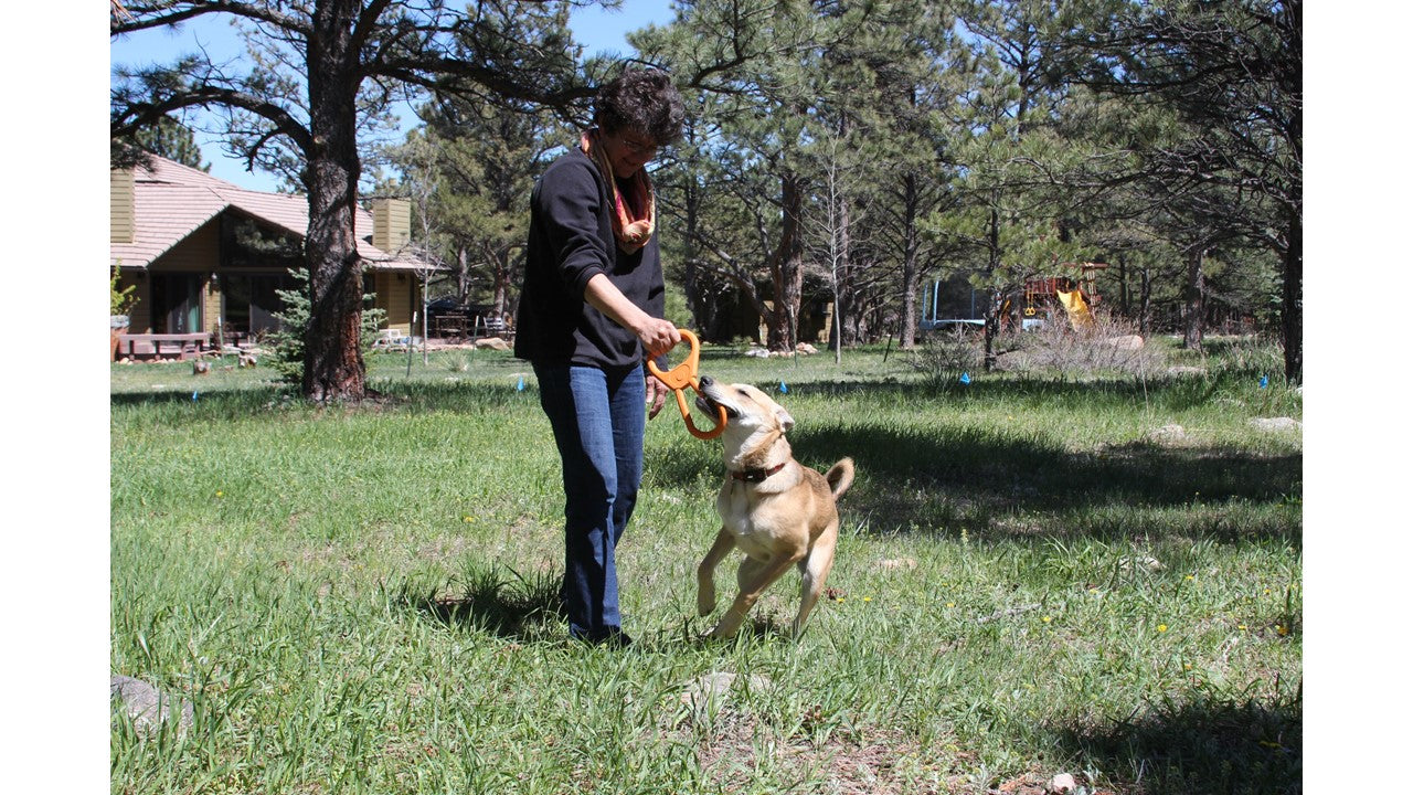 Woman playing with a dog in a grassy outdoor area