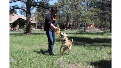 Woman playing with a dog in a grassy outdoor area
