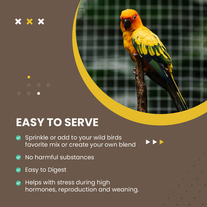 Yellow parrot on a branch with text about serving ease and benefits on a brown background