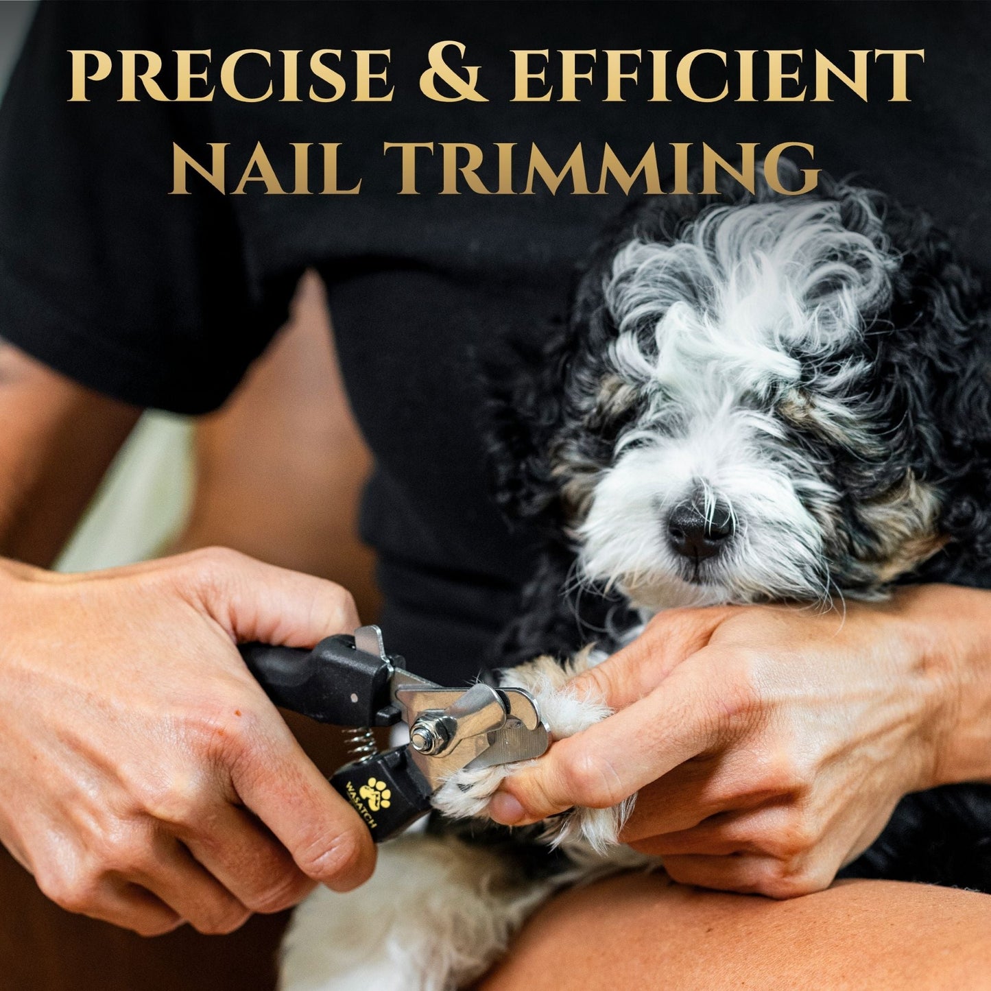 Person trimming a dog's nails with text 'Precise & Efficient Nail Trimming' above.