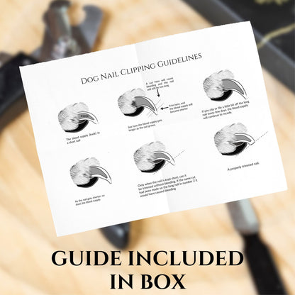 Dog nail clipping guidelines on a white card with blurred grooming tools in the background.