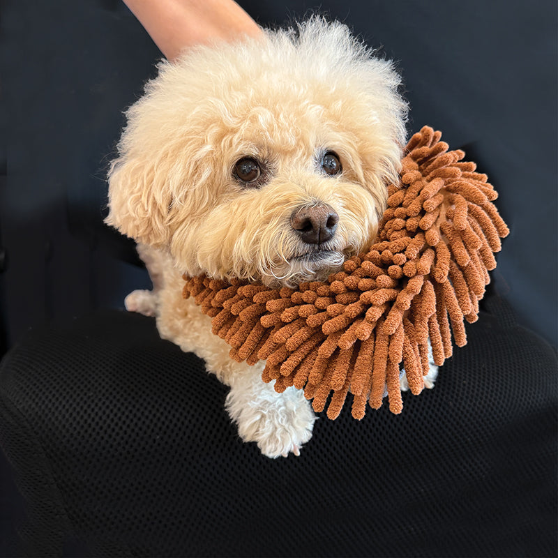 Small dog wearing a brown chenille scarf on a black background