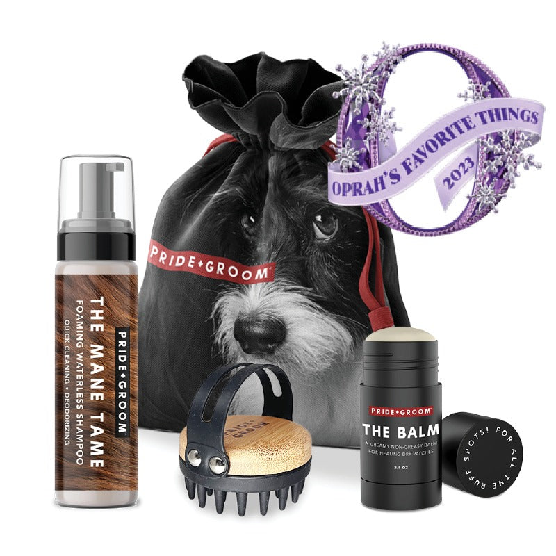 Pride & Groom grooming products with a drawstring bag featuring a dog's face, Oprah's Favorite Things 2023 label.