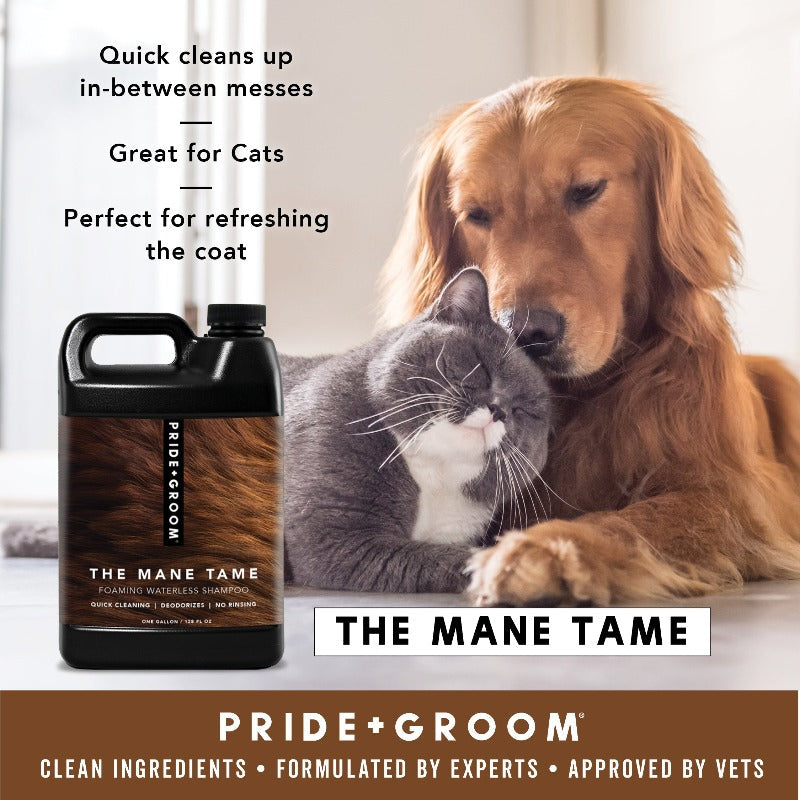Dog and cat interacting with a bottle of 'The Mane Tame' product by Pride & Groom.