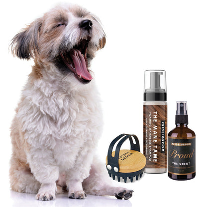Dog with grooming products including a bottle, spray bottle, and brush on a white background