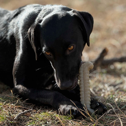 Tough Bone Nylon Chew Bone | Ultra-Durable Dog Toy for Aggressive Chewers | SodaPup