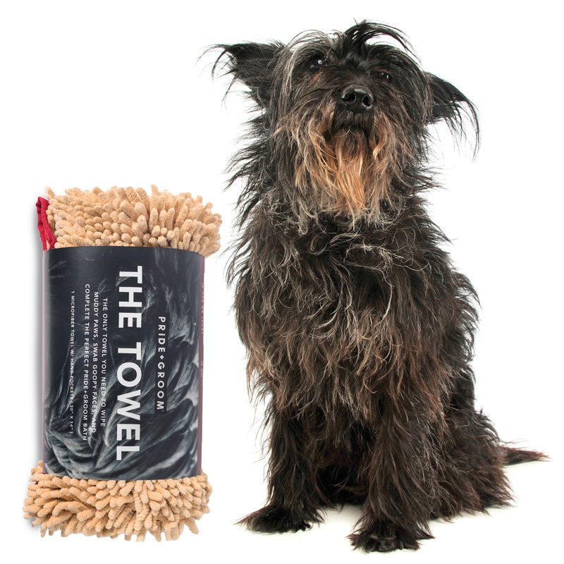 Dog with a textured towel next to it on a white background