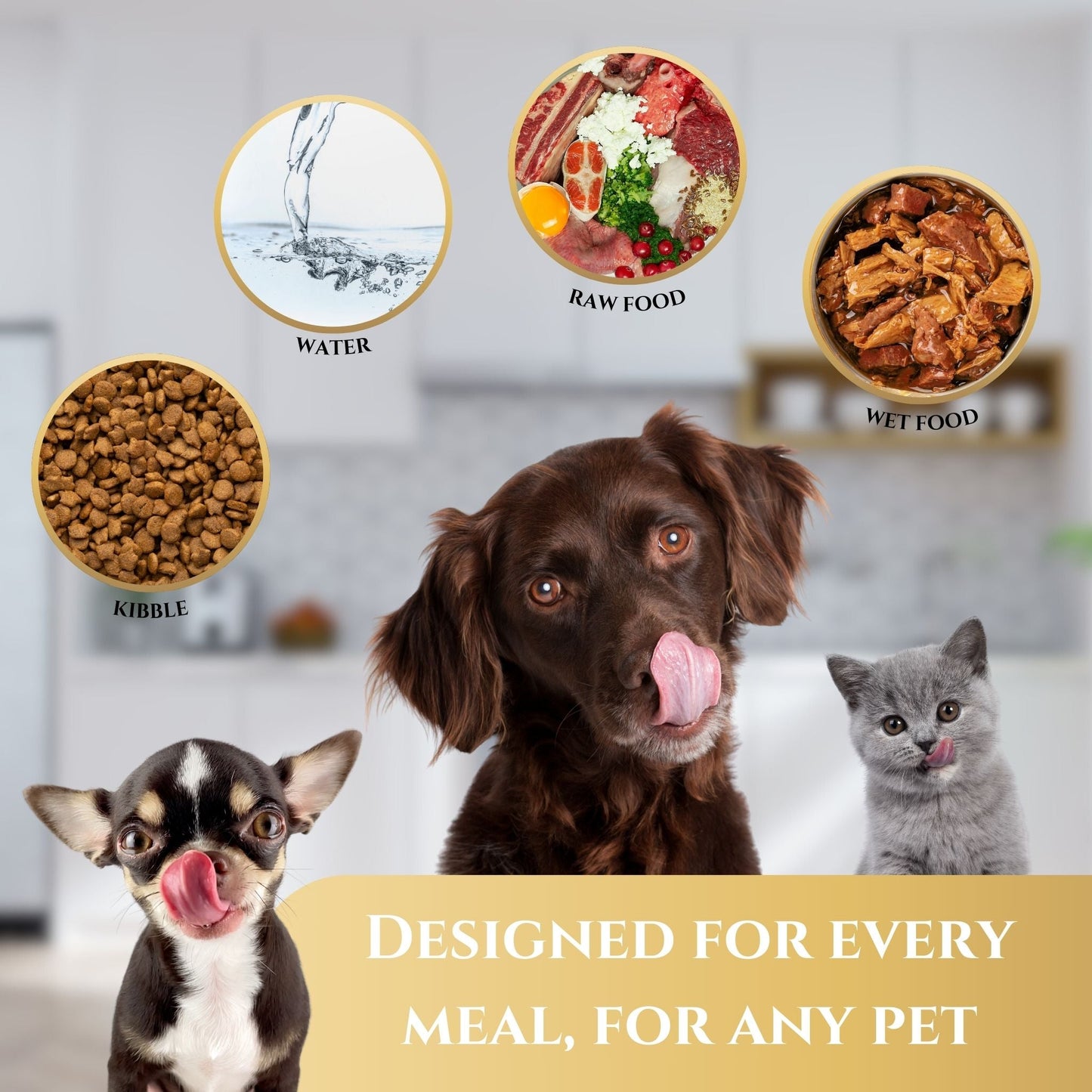 Two dogs and a cat with food types displayed above them on a blurred kitchen background.