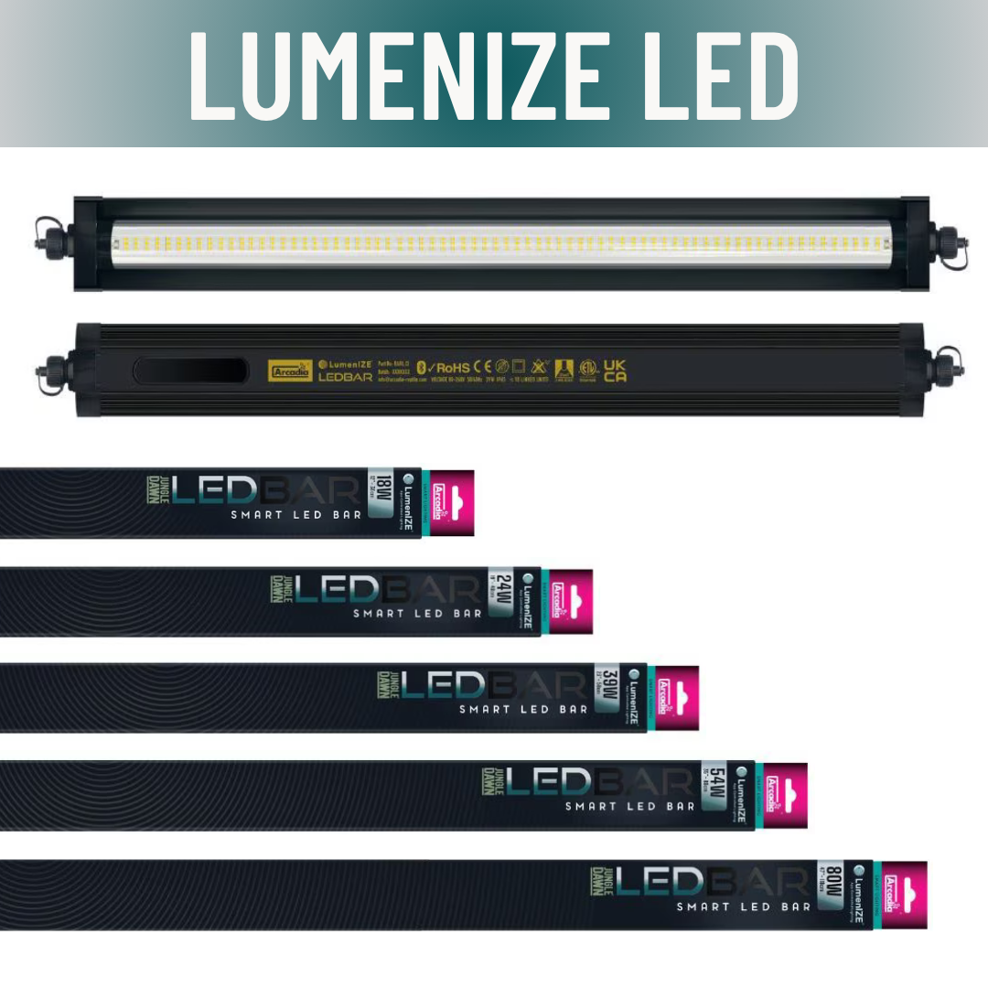 Collection of Lumenize LED light bars on a white background