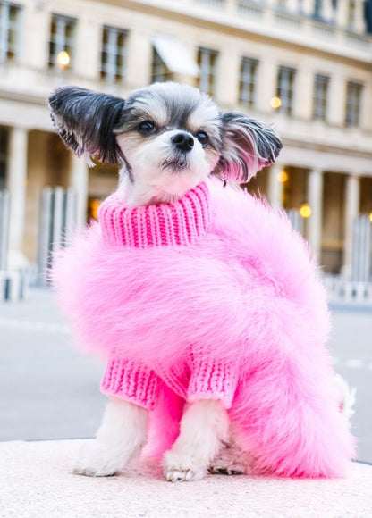 Small dog wearing a fluffy pink sweater in an urban setting