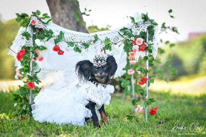 Dog in a white dress standing in front of a floral archway.