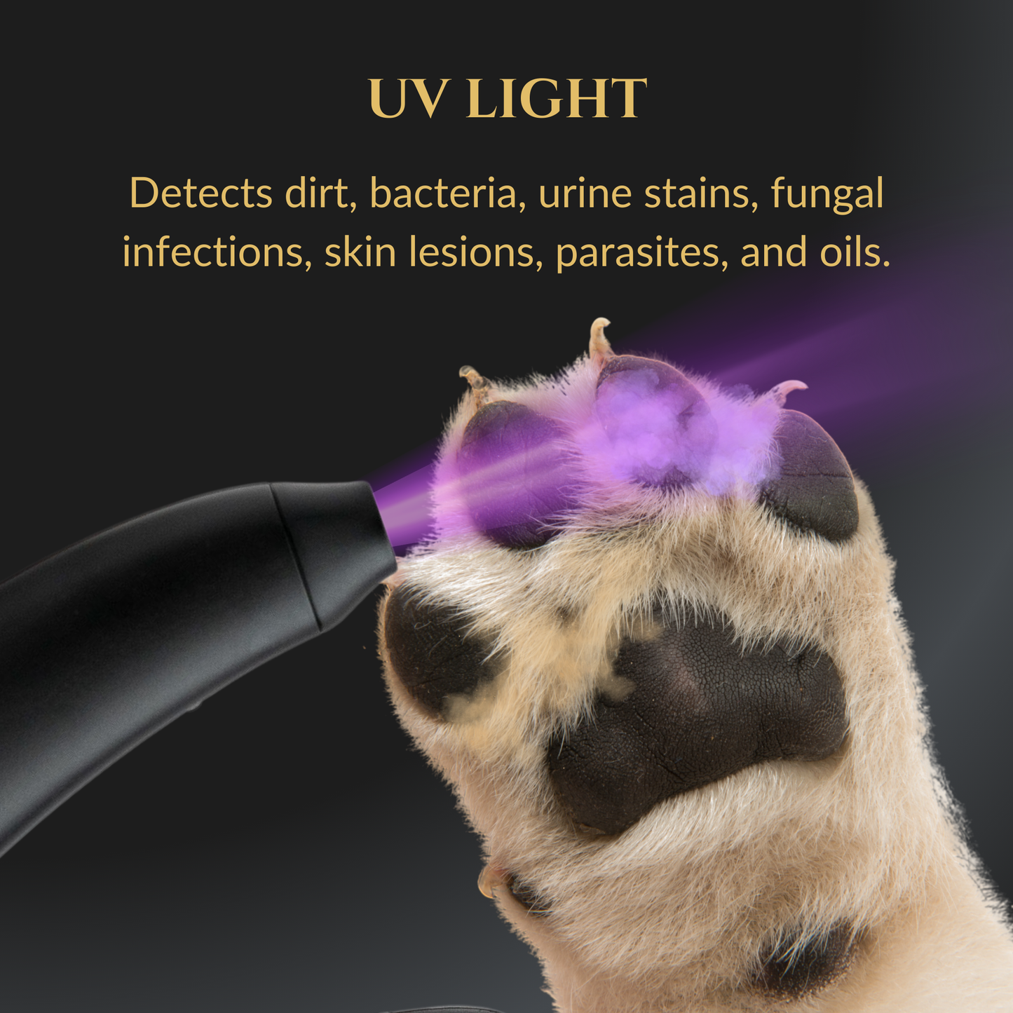 3-in-1-Nail Clippers