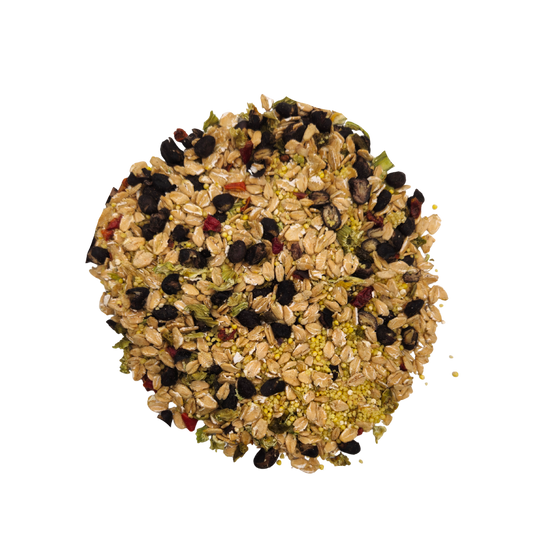Round bird seed mix on a white background