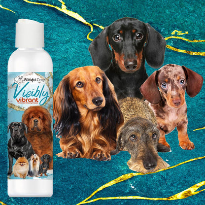Dog shampoo bottle with dachshunds on a blue and gold background