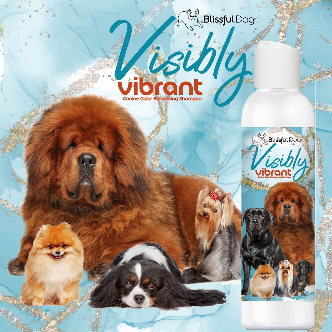 Blissful Dog Visibly Vibrant shampoo bottle with dogs on a blue background