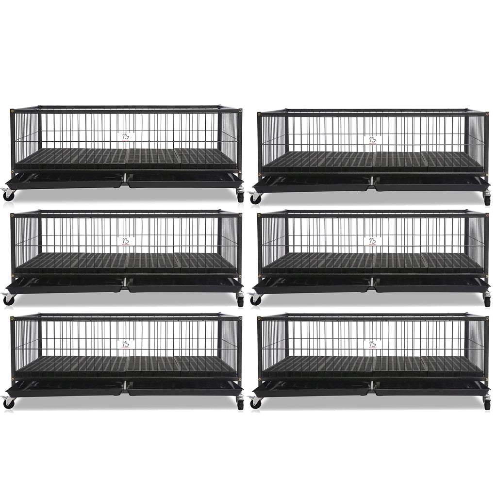 Set of six black pet crates on a white background