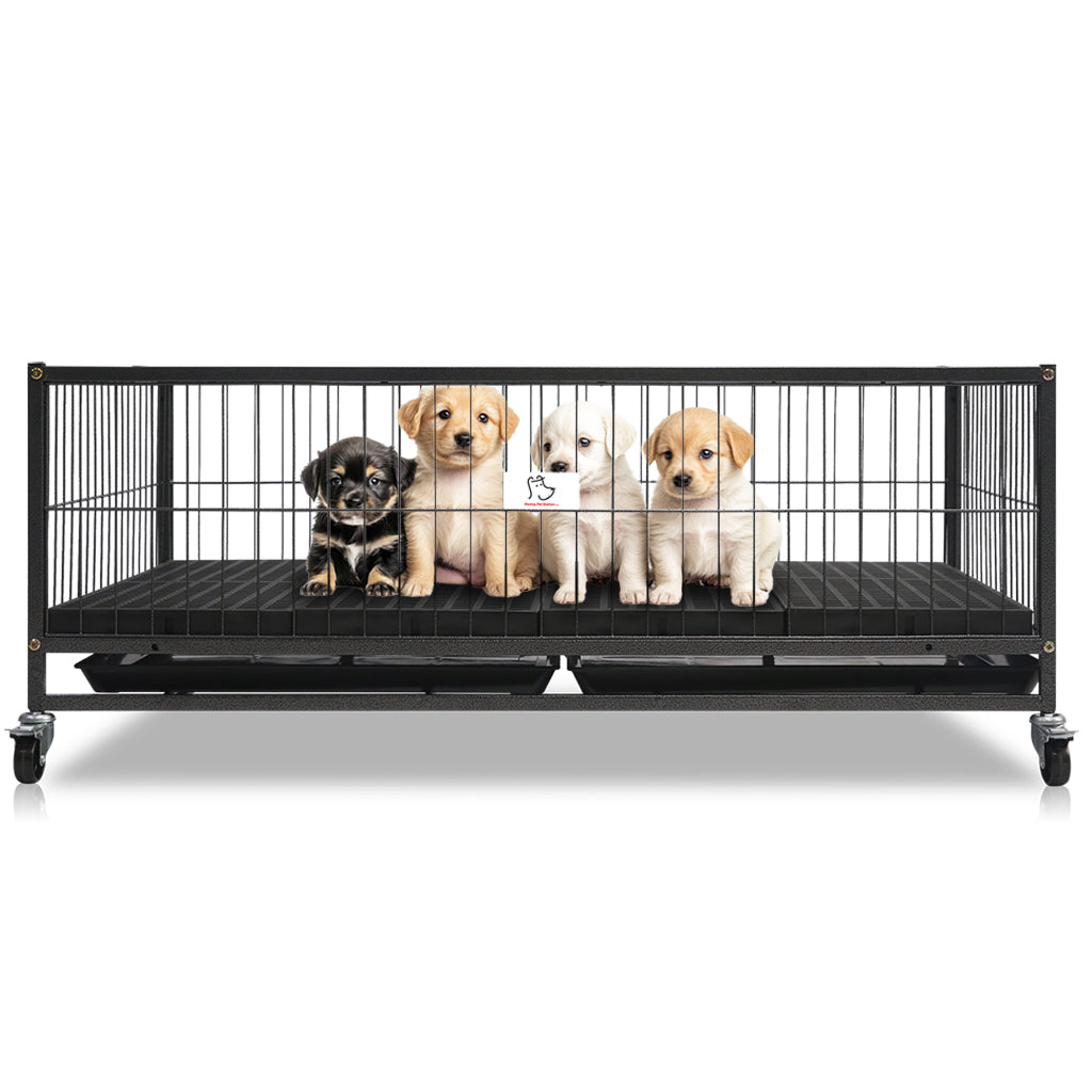 Pet crate with four puppies inside on a white background