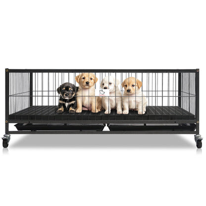 Pet crate with four puppies inside on a white background
