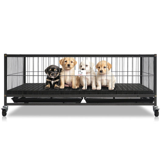 Pet crate with four puppies inside on a white background