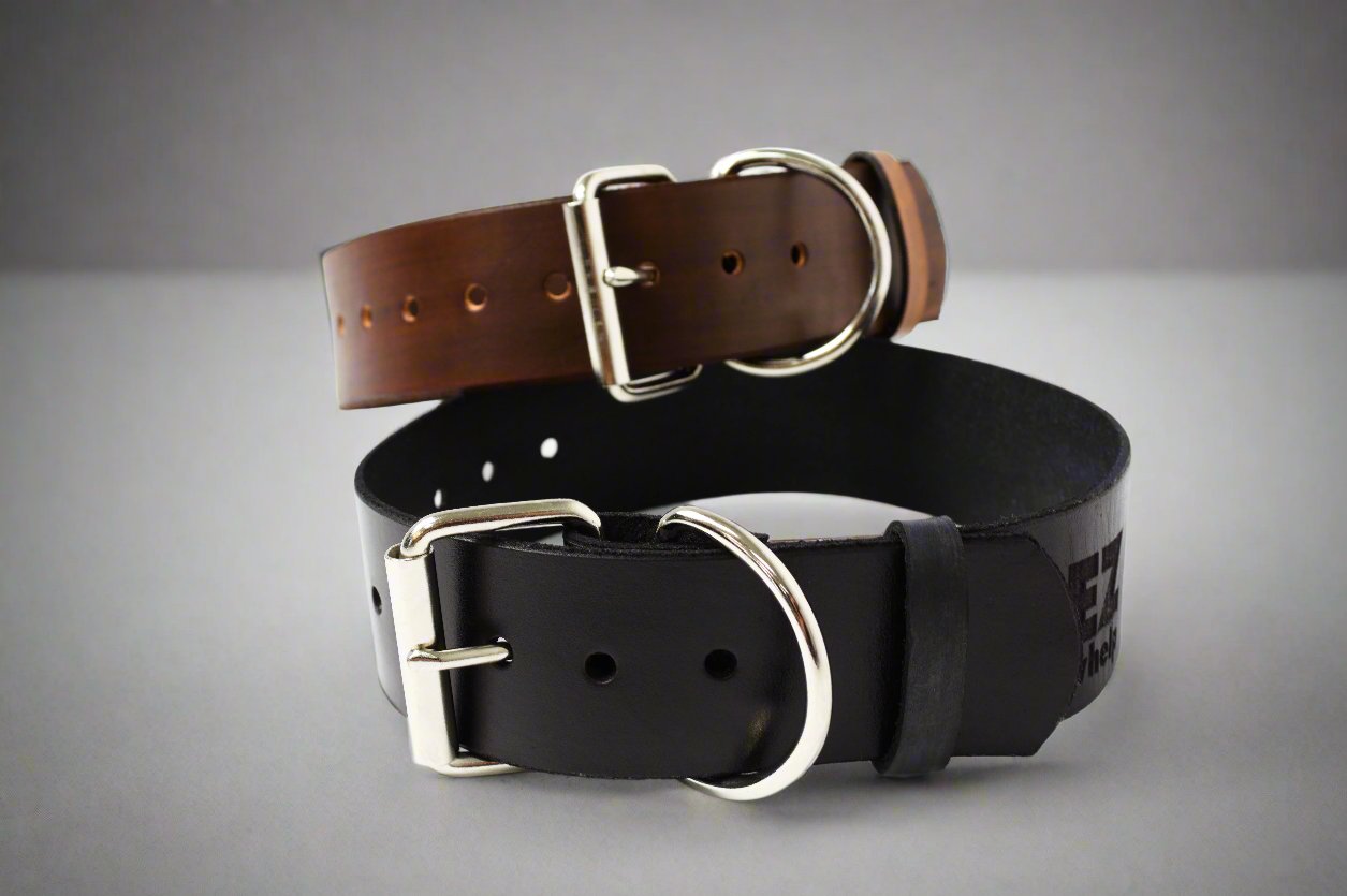 Brown and black leather dog collars with metal buckles on a gray background